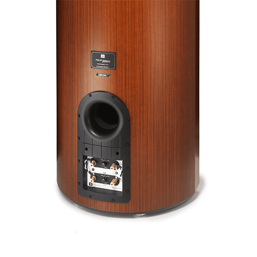 Project K2 S9900 Afzonderlijke aansluitingen voor lage en hoge frequenties aan de achterzijde. - Image