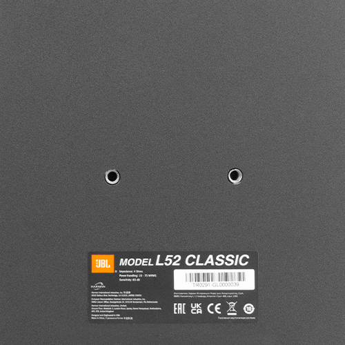 L52 Classic Dubbele inzetstukken met schroefdraad voor muurbeugels van derden. - Image